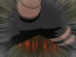 [S^M] Naruto Shippuuden 3 RAW(274).jpg